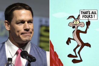 Coyote vs. Acme movie expected to be permanently shelved, deleted from existence