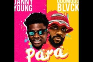 Danny Young - Para ft Odumodublvck