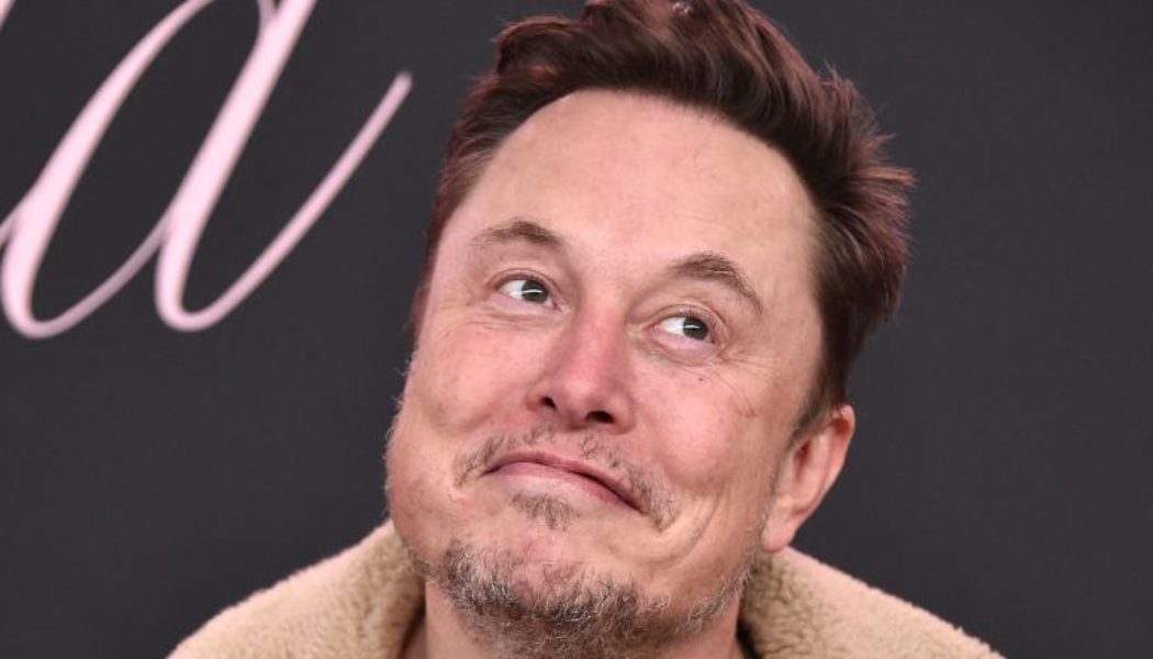 Elon Musk Pushes Great Replacement Theory In Series of X Posts