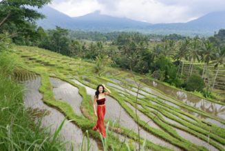 I quit my dream job at 32 and spent $34,000 to travel the world—here are my 4 biggest regrets