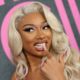 Megan Thee Stallion Lands Warner Music Group Agreement, Retains Masters and Publishing Rights