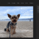 Windows is getting its own Magic Eraser to AI-modify your photos