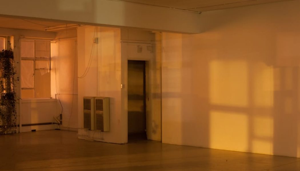 Wolfgang Tillmans Reflects on Time and Temporality in New Exhibition