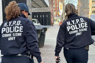 Woman, 38, found dead in New York City luxury hotel room during Fashion Week: police