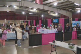14th annual Women's Lifestyle Expo celebrates entrepreneurship in Kalamazoo