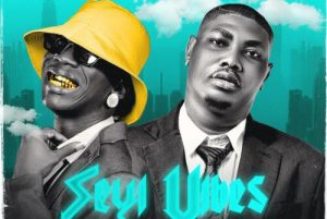 DJ OP Dot – Best Of Seyi Vibez (2024 Mix)