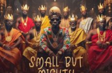 Download Mp3 Shatta Wale - Small But Mighty — NaijaTunez