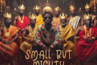 Download Mp3 Shatta Wale - Small But Mighty — NaijaTunez