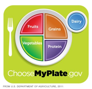 The MyPlate graphic