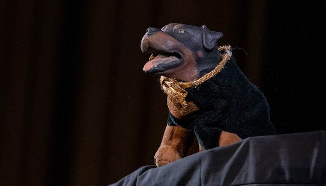 Robert Smigel Explains Who Triumph the Insult Comic Dog Won't Roast