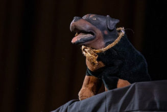Robert Smigel Explains Who Triumph the Insult Comic Dog Won't Roast