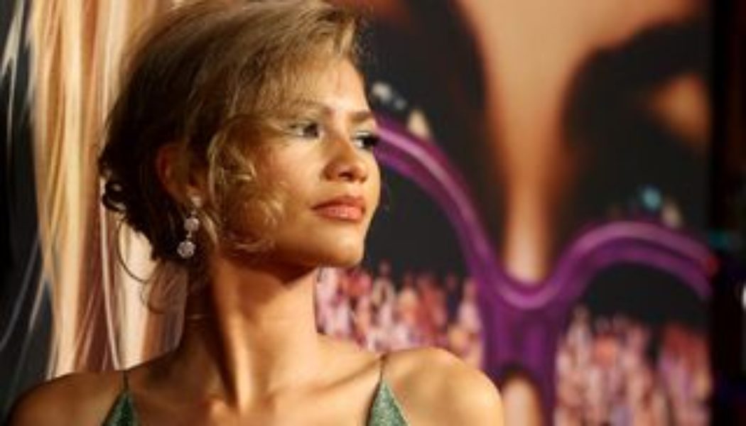 Zendaya Wore a Plunging V-Neck Gown With a Thigh-High Slit on the Red Carpet