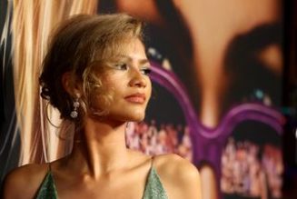 Zendaya Wore a Plunging V-Neck Gown With a Thigh-High Slit on the Red Carpet
