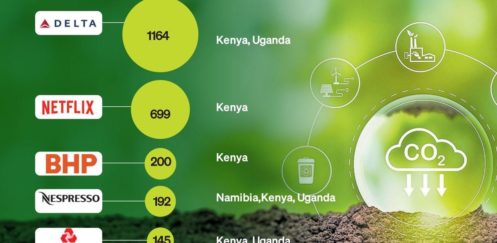 Big firms buying Kenya’s carbon credits revealed