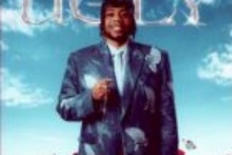 DanDizzy – E Pain Me