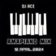 DJ Ace – Amapiano Mix 2024 12 April