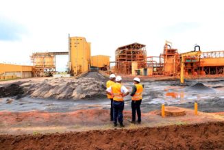 Improve mineral wealth checks