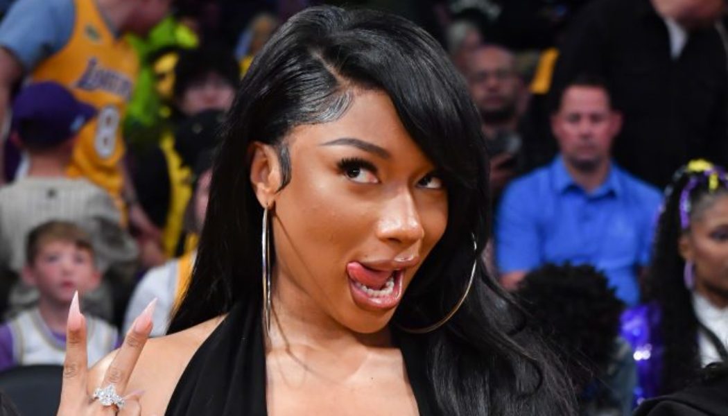 Megan Thee Stallion Denies Getting A Nose Job