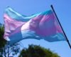 West Virginia transgender sports ban overturned in federal appeals court