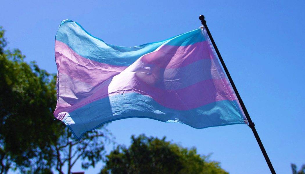 West Virginia transgender sports ban overturned in federal appeals court