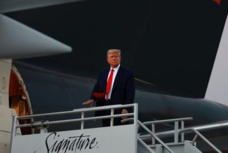 As a felon, Donald Trump can no longer travel to 38 countries