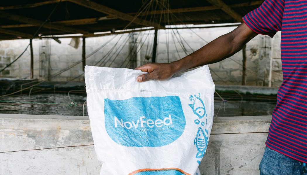 NovFeed: Turning Fruit into Fish