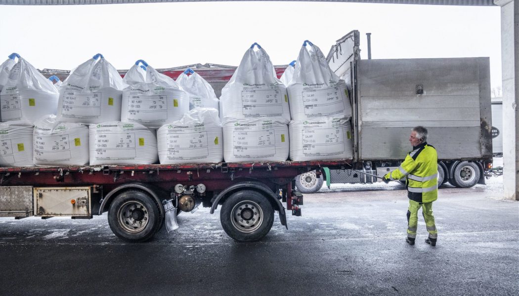 ThermoSeed – A Swedish Seed Solution