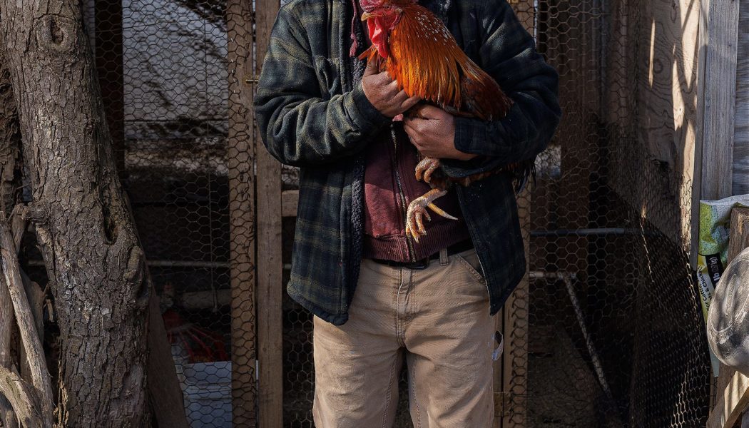 Transfarmation: From factory farm to sustainable enterprise