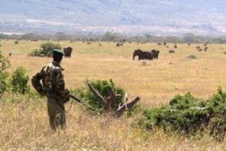 Featuring African stars, ‘Music for Wildlife’ launches on Trace Global Network - EnviroNews - latest environment news, climate change, renewable energy