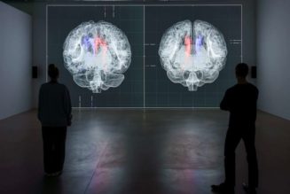 Ryoji Ikeda Blurs Micro and Macro in New Sensorial Exhibition at Almine Rech