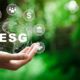 Why ESG investing is not the magic bullet to assured earnings