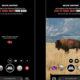 Jackson Hole’s new Instagram filter warns you when you’re dangerously close to wildlife