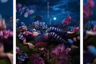 Kali Uchis' 'ORQUÍDEAS PARTE 2' Deluxe Album Is Here