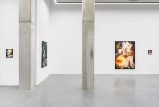 Five Shows to Catch During RendezVous — Brussels Art Week