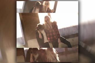 2hollis Taps Tourmate nate sib on "afraid"