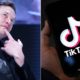 China Considers Selling TikTok to Elon Musk: Report
