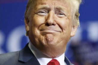 Consequence Crossword: "Green Land"