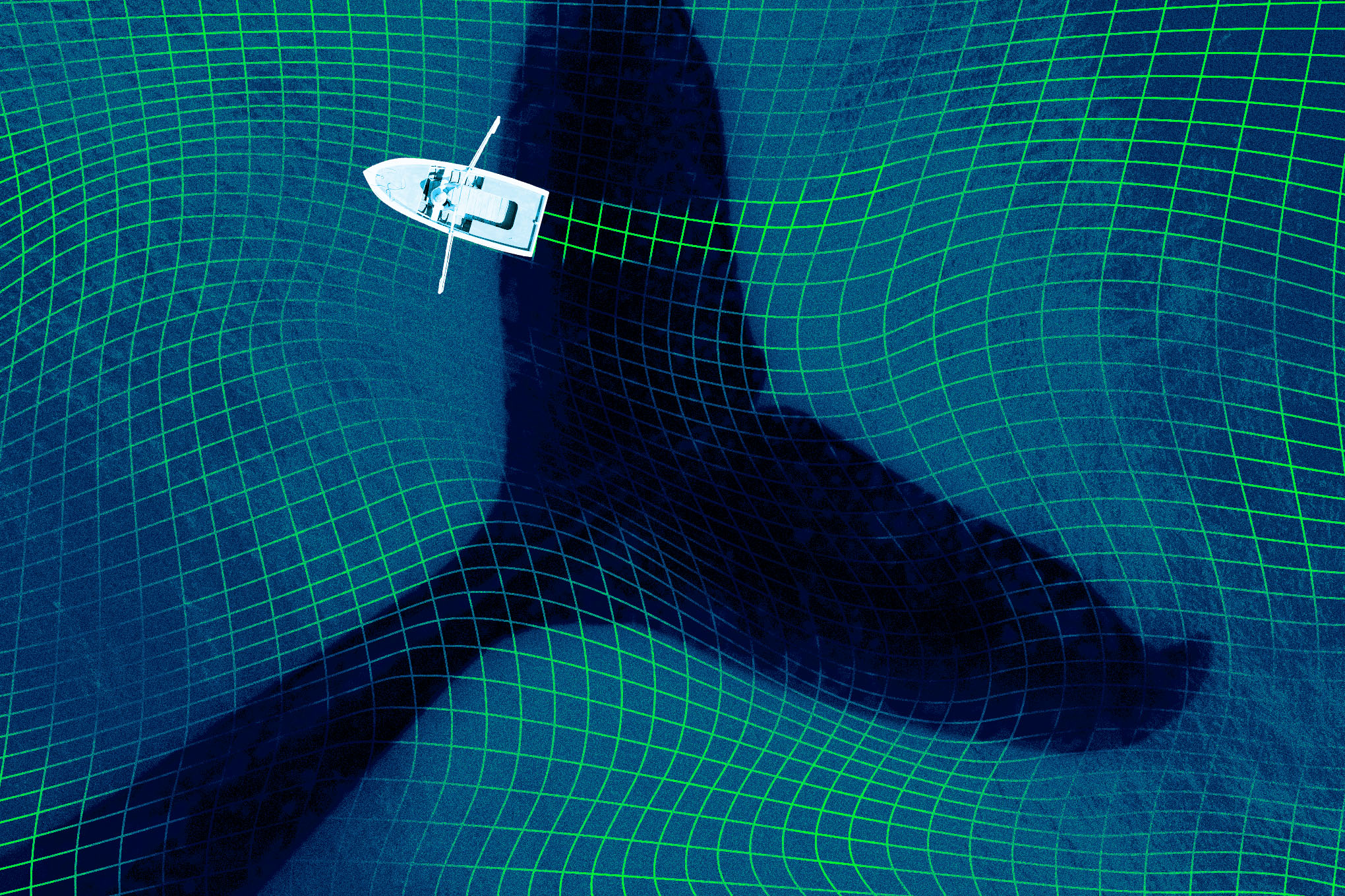 257533_deepseek_bfd_CVirginia_2_D_9f26e7