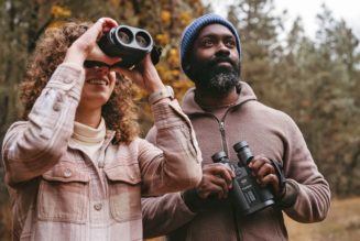 Fujifilm’s new stabilized binoculars deliver even more zoom