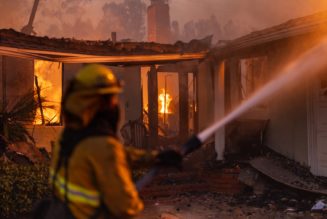 How to Help the Victims of the Los Angeles Wildfires: Donation Links and Fundraising