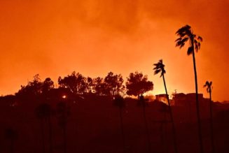 Los Angeles Fires Force Evacuations and Impact Art Institutions
