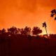 Los Angeles Fires Force Evacuations and Impact Art Institutions