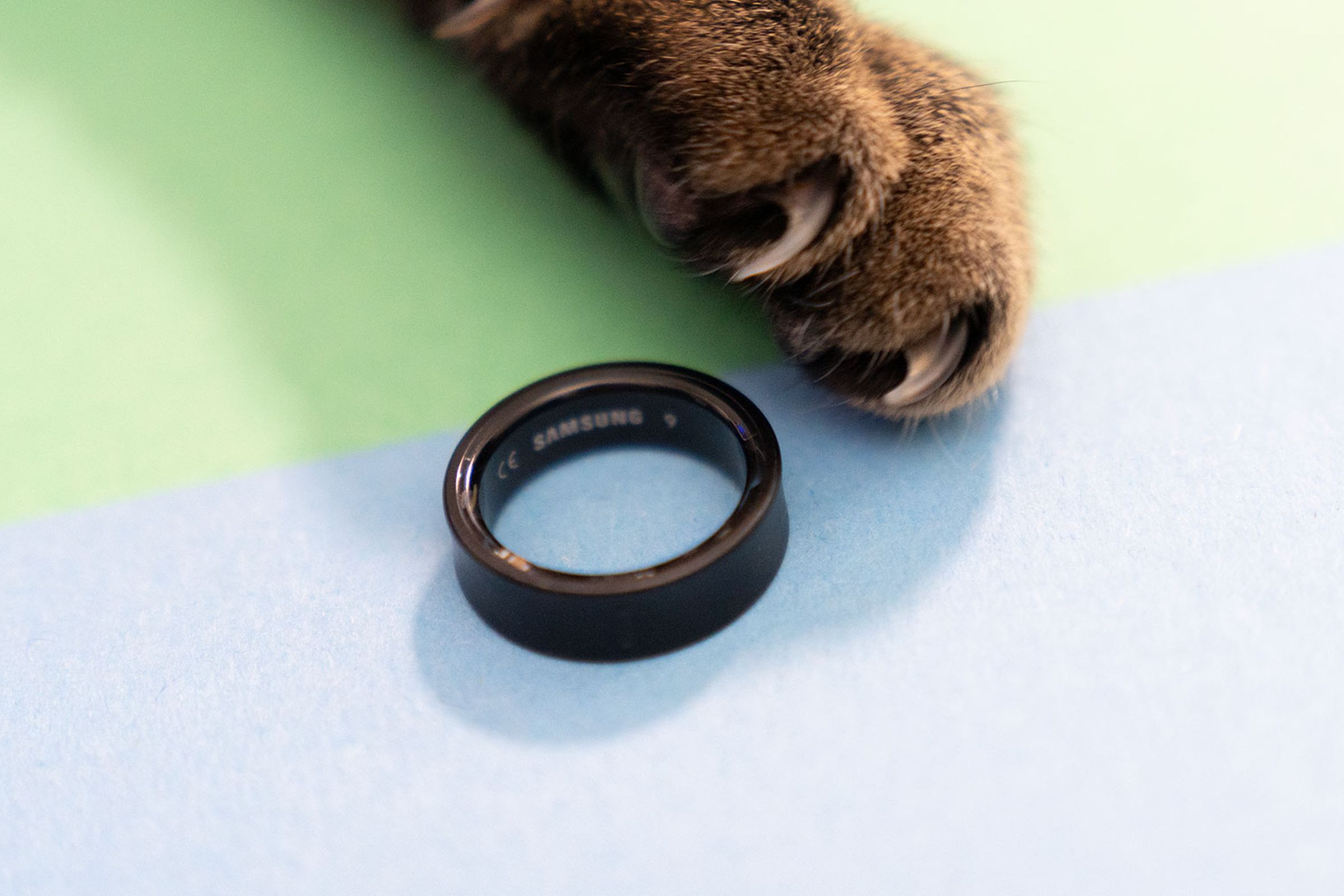 Cat paw sneakily reaching out to swipe the Galaxy Ring