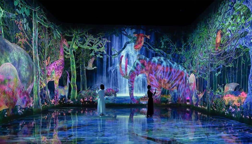 teamLab Planets TOKYO Unveils Major Expansion With New Immersive Attractions