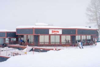 Alex Israel's 'Heaven' Installation Is Only for Those on the Slopes