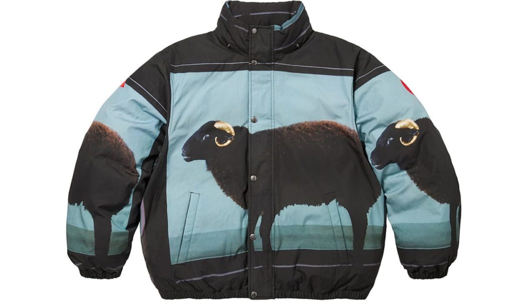 Closer Look at the Artwork of Supreme Spring/Summer 2025