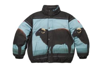 Closer Look at the Artwork of Supreme Spring/Summer 2025