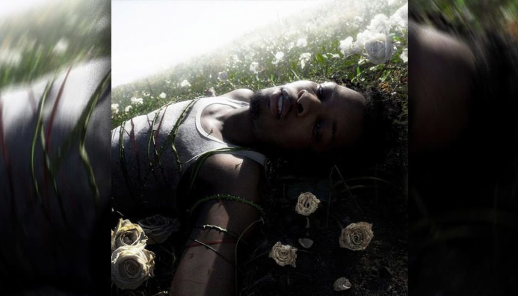 d4vd Announces Debut Album ‘WITHERED’