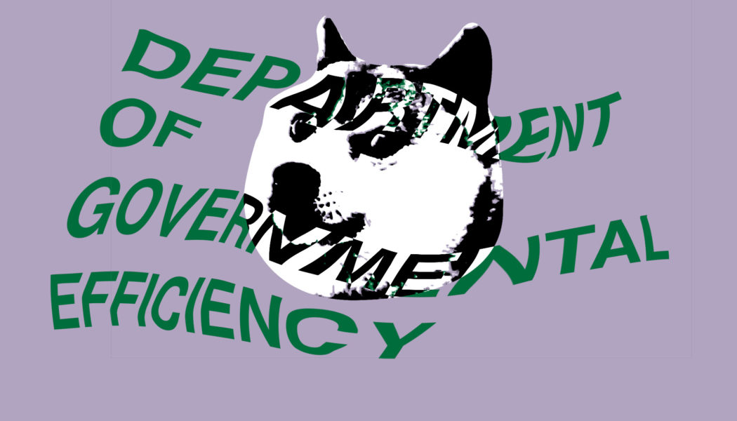 DOGE can keep accessing government data for now, judge rules