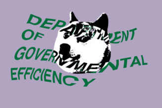 DOGE can keep accessing government data for now, judge rules